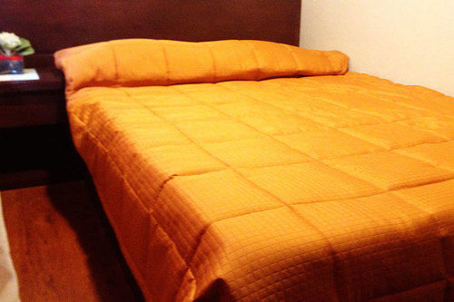 Forest View Leisure Residences * Olongapo